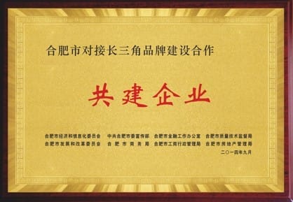 Hefei City has connected with enterprises in the Yangtze River Delta for brand building cooperation and co-construction