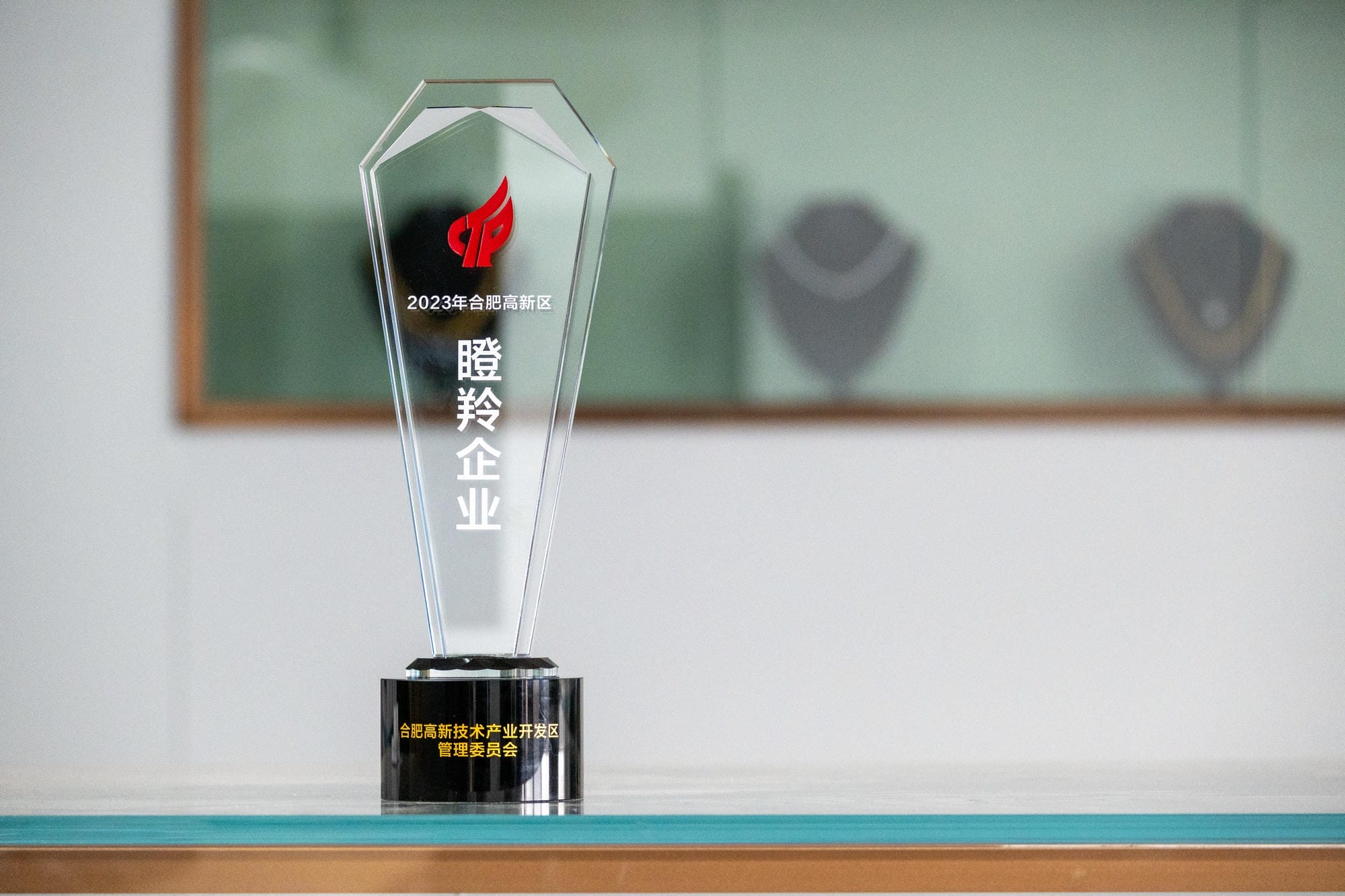 Gazelle enterprises in the High-tech Zone of Hefei City