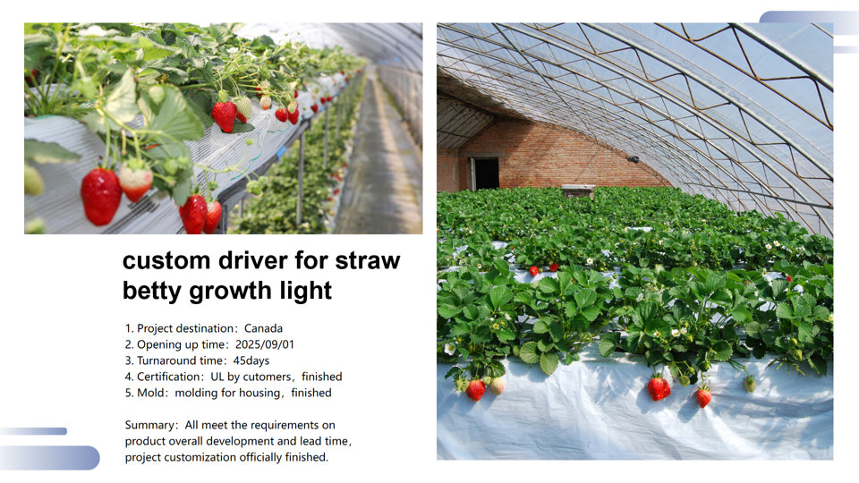 Strawberry growth light driver case