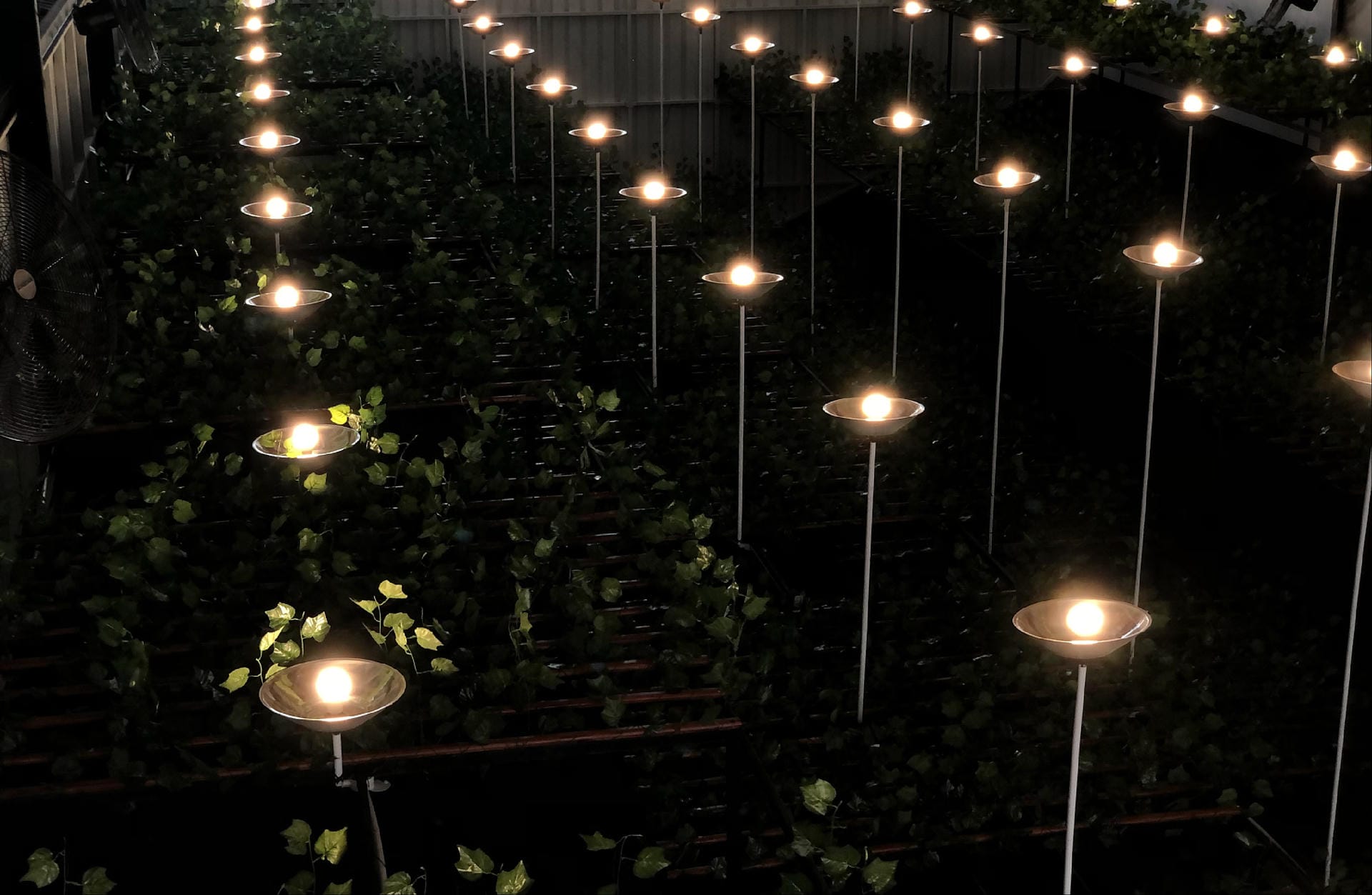 Placeholder image for strawberry growth light driver case